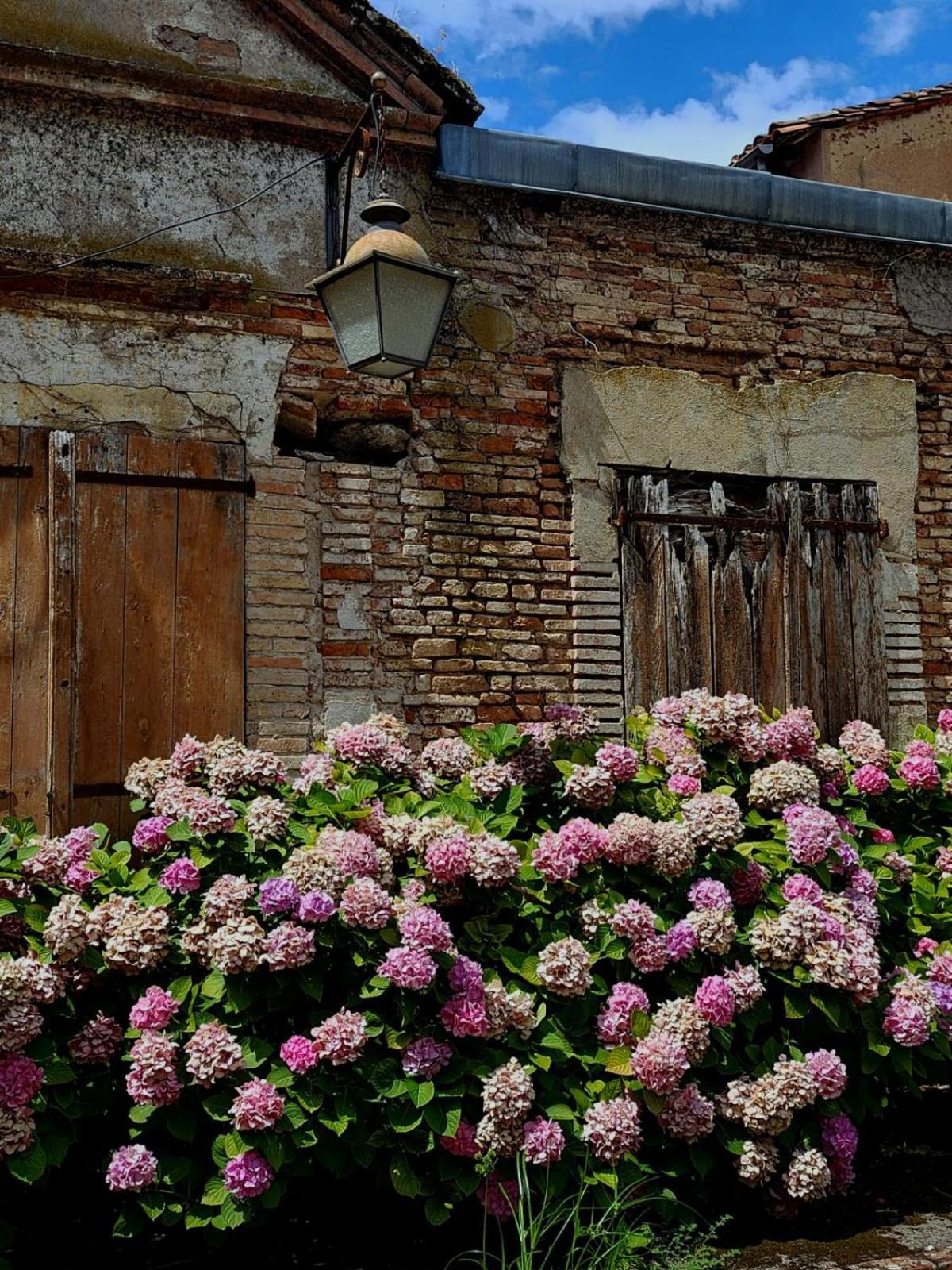 La Cour Verte Gaillac Esterno foto